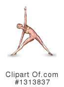 Anatomy Clipart #1313837 by KJ Pargeter