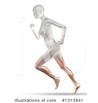 Royalty-Free (RF) Anatomy Clipart Illustration by KJ Pargeter - Stock Sample #1313841