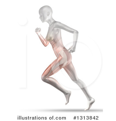 Royalty-Free (RF) Anatomy Clipart Illustration by KJ Pargeter - Stock Sample #1313842