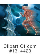 Anatomy Clipart #1314423 by KJ Pargeter