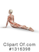 Anatomy Clipart #1316398 by KJ Pargeter