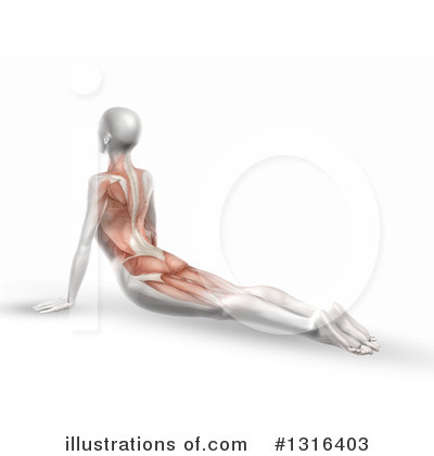 Royalty-Free (RF) Anatomy Clipart Illustration by KJ Pargeter - Stock Sample #1316403
