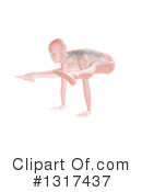Anatomy Clipart #1317437 by KJ Pargeter