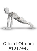 Anatomy Clipart #1317440 by KJ Pargeter
