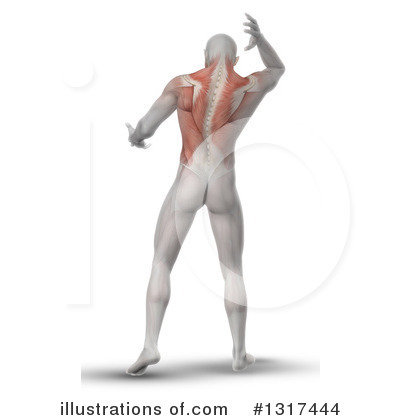 Royalty-Free (RF) Anatomy Clipart Illustration by KJ Pargeter - Stock Sample #1317444