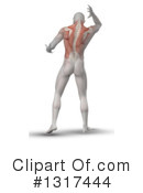 Anatomy Clipart #1317444 by KJ Pargeter