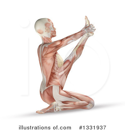 Royalty-Free (RF) Anatomy Clipart Illustration by KJ Pargeter - Stock Sample #1331937
