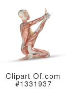 Anatomy Clipart #1331937 by KJ Pargeter
