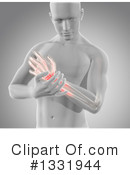 Anatomy Clipart #1331944 by KJ Pargeter