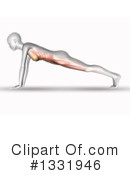 Anatomy Clipart #1331946 by KJ Pargeter