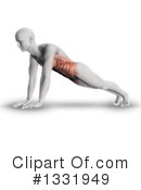 Anatomy Clipart #1331949 by KJ Pargeter