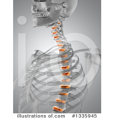 Royalty-Free (RF) Anatomy Clipart Illustration by KJ Pargeter - Stock Sample #1335945