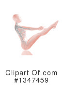 Anatomy Clipart #1347459 by KJ Pargeter