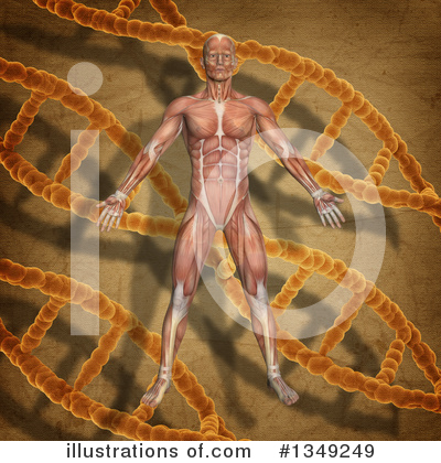 Royalty-Free (RF) Anatomy Clipart Illustration by KJ Pargeter - Stock Sample #1349249