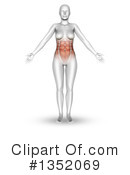 Anatomy Clipart #1352069 by KJ Pargeter