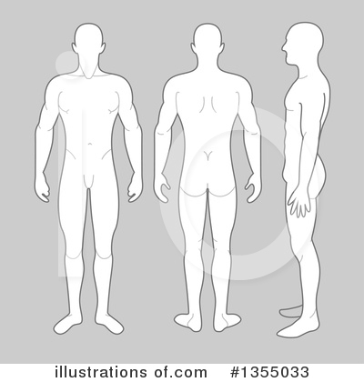 Royalty-Free (RF) Anatomy Clipart Illustration by vectorace - Stock Sample #1355033