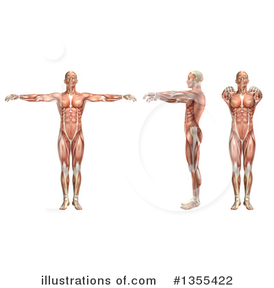 Royalty-Free (RF) Anatomy Clipart Illustration by KJ Pargeter - Stock Sample #1355422