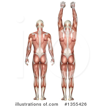 Royalty-Free (RF) Anatomy Clipart Illustration by KJ Pargeter - Stock Sample #1355426