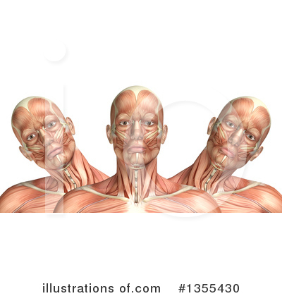 Royalty-Free (RF) Anatomy Clipart Illustration by KJ Pargeter - Stock Sample #1355430
