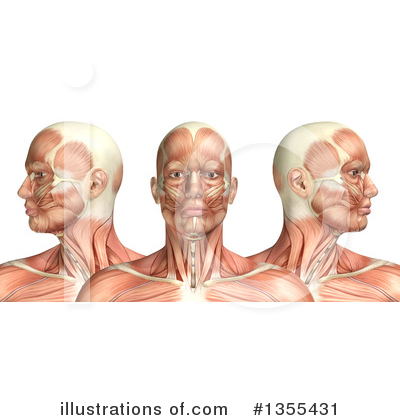 Royalty-Free (RF) Anatomy Clipart Illustration by KJ Pargeter - Stock Sample #1355431
