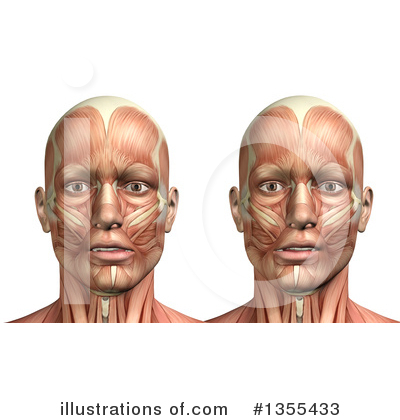 Royalty-Free (RF) Anatomy Clipart Illustration by KJ Pargeter - Stock Sample #1355433