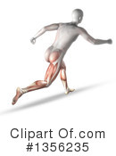 Anatomy Clipart #1356235 by KJ Pargeter