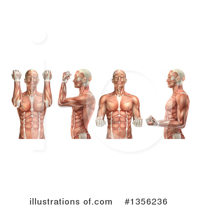 Royalty-Free (RF) Anatomy Clipart Illustration by KJ Pargeter - Stock Sample #1356236