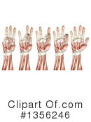 Anatomy Clipart #1356246 by KJ Pargeter