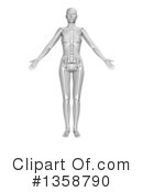 Anatomy Clipart #1358790 by KJ Pargeter
