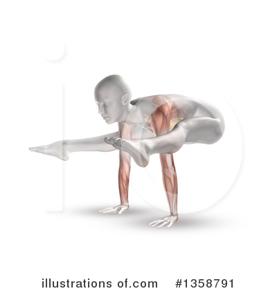 Muscle Clipart #1358791 by KJ Pargeter