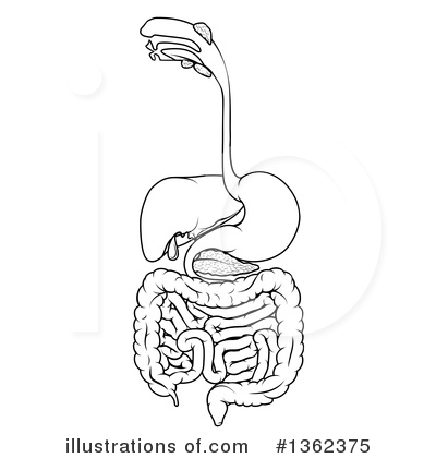 Intestine Clipart #1362375 by AtStockIllustration