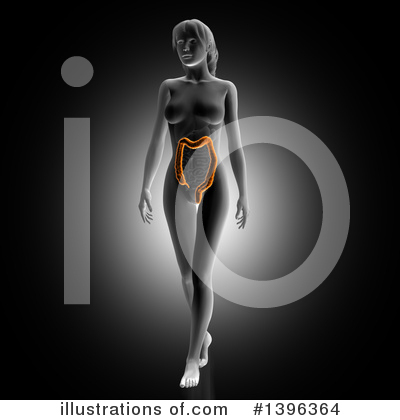 Body Clipart #1396364 by KJ Pargeter