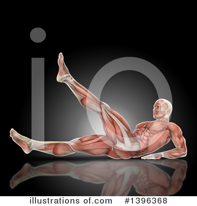 Muscle Clipart #1396368 by KJ Pargeter