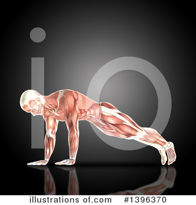Muscle Clipart #1396370 by KJ Pargeter
