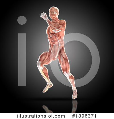 Muscle Clipart #1396371 by KJ Pargeter