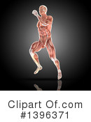 Anatomy Clipart #1396371 by KJ Pargeter