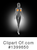 Anatomy Clipart #1399650 by KJ Pargeter