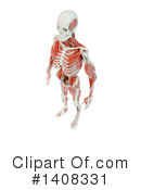 Anatomy Clipart #1408331 by Mopic