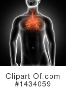 Anatomy Clipart #1434059 by KJ Pargeter