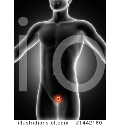 Royalty-Free (RF) Anatomy Clipart Illustration by KJ Pargeter - Stock Sample #1442180