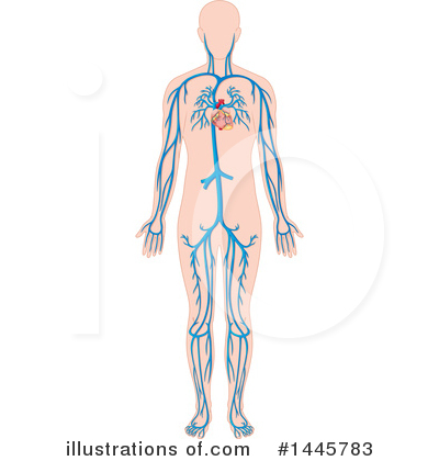 Medical Clipart #1445783 by Graphics RF