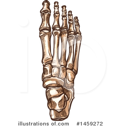 Podiatry Clipart #1459272 by Vector Tradition SM