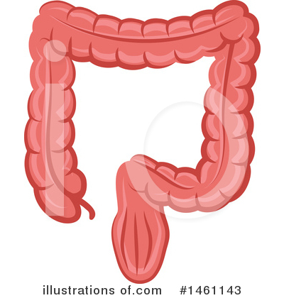 Intestine Clipart #1461143 by Vector Tradition SM