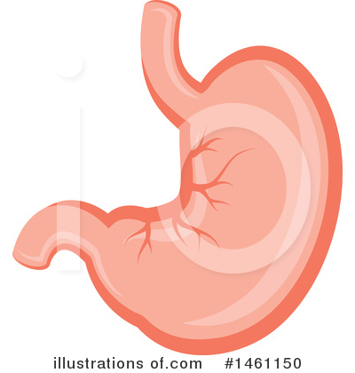Stomach Clipart #1461150 by Vector Tradition SM