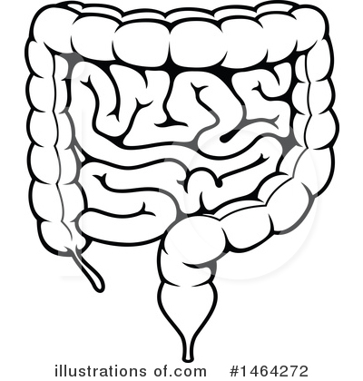 Intestines Clipart #1464272 by Vector Tradition SM