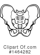 Anatomy Clipart #1464282 by Vector Tradition SM
