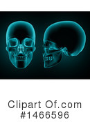 Anatomy Clipart #1466596 by KJ Pargeter
