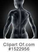 Anatomy Clipart #1522956 by KJ Pargeter