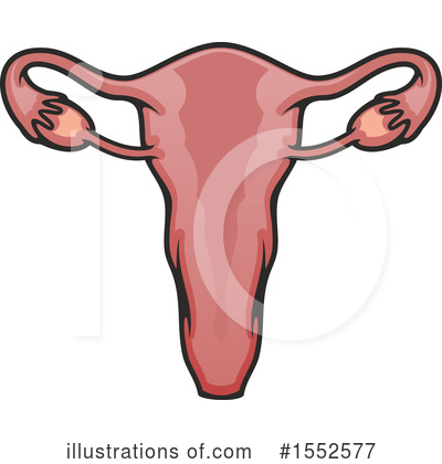 Uterus Clipart #1552577 by Vector Tradition SM