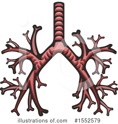 Royalty-Free (RF) Anatomy Clipart Illustration by Vector Tradition SM - Stock Sample #1552579